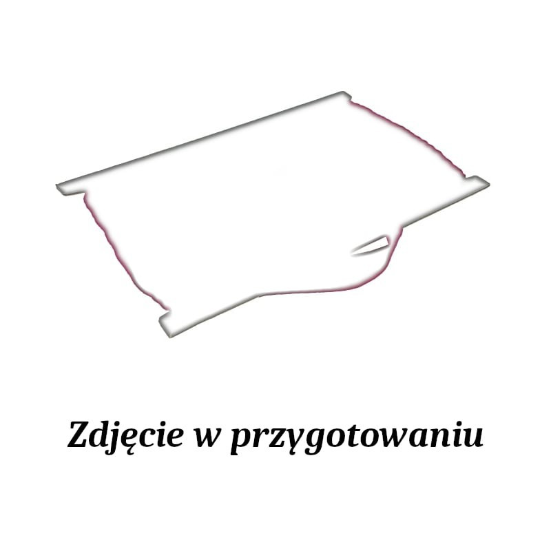 zdjęcie w przygotowaniu